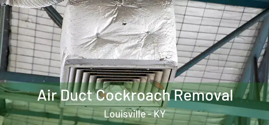 Air Duct Cockroach Removal Louisville - KY