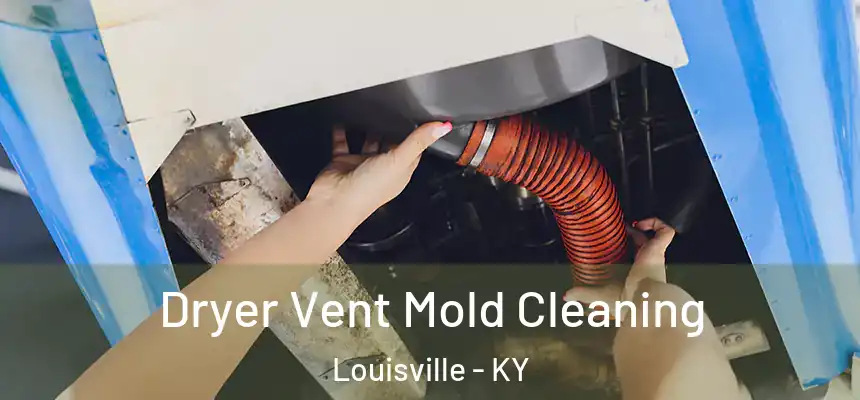 Dryer Vent Mold Cleaning Louisville - KY