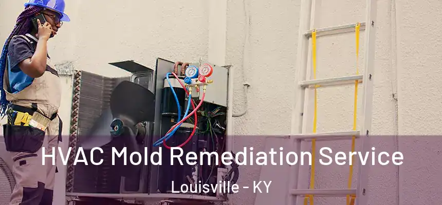  HVAC Mold Remediation Service Louisville - KY