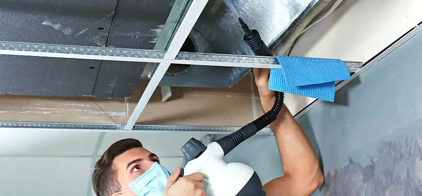 Our Air Duct Rodent Removal Services in Louisville, KY
