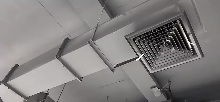 Our Pest Removal From Ducts Services in Louisville, KY