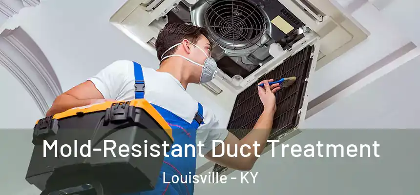  Mold-Resistant Duct Treatment Louisville - KY