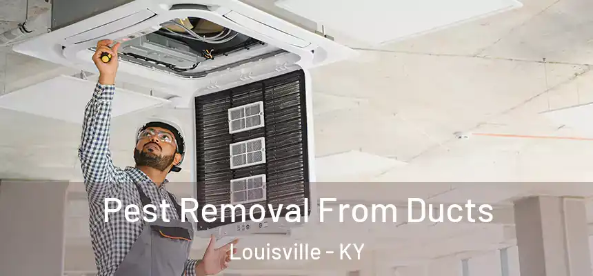 Pest Removal From Ducts Louisville - KY