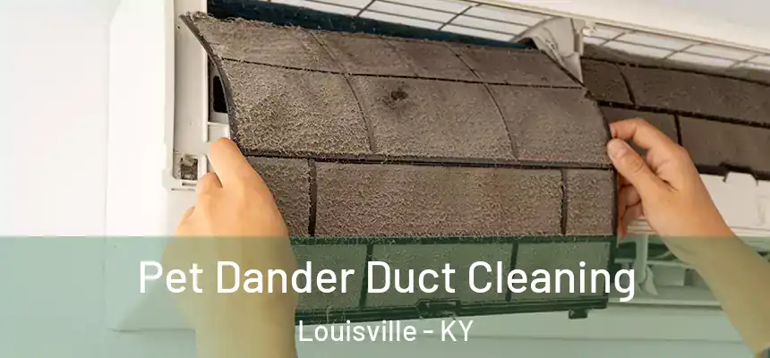 Pet Dander Duct Cleaning Louisville - KY