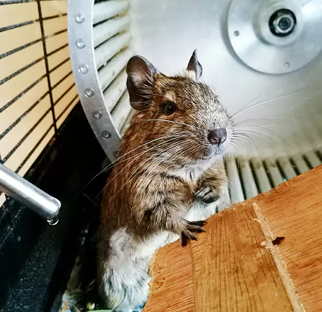 Why Homeowners & Businesses Trust Us Louisville, KY?