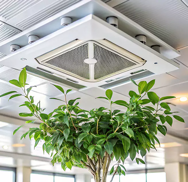 Why Homeowners & Businesses Trust Us in Louisville, KY?